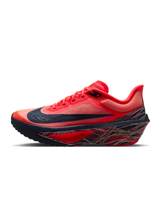 ZOOM+FLY+6.png